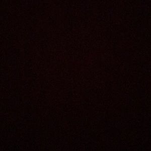 Meet your Posher, Bryce